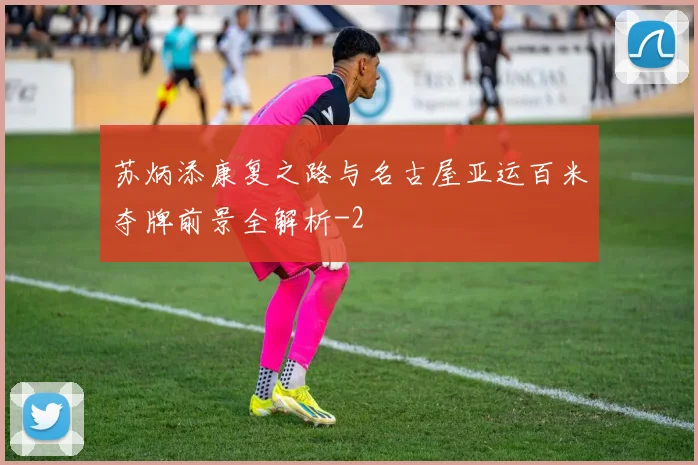 苏炳添康复之路与名古屋亚运百米夺牌前景全解析