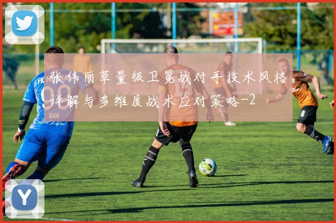 张伟丽草量级卫冕战对手技术风格详解与多维度战术应对策略