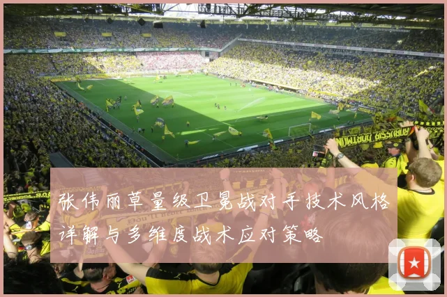 张伟丽草量级卫冕战对手技术风格详解与多维度战术应对策略